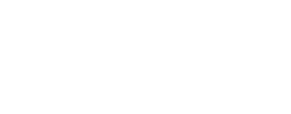 Fleva Products